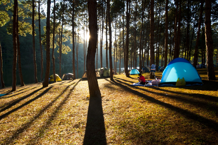 camping alpes françaises